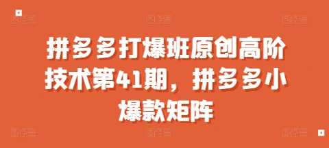 拼多多打爆班原创高阶技术第41期，拼多多小爆款矩阵-富爸爸项目圈