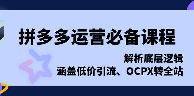（13700期）拼多多运营必备课程，解析底层逻辑，涵盖低价引流、OCPX转全站-富爸爸项目圈