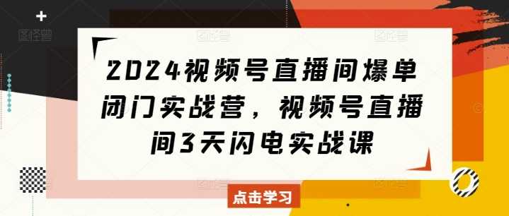 2024视频号直播间爆单闭门实战营，视频号直播间3天闪电实战课-富爸爸项目圈