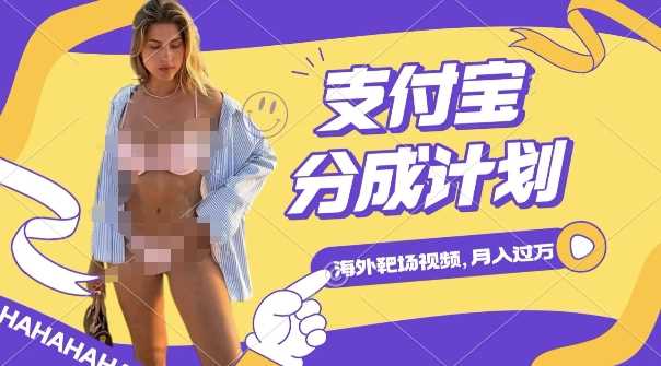 利用海外靶场射击视频，挣支付宝分成收益，轻松月入过W【揭秘】-富爸爸项目圈