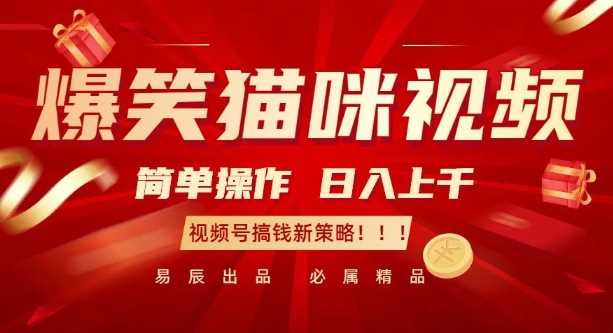 爆笑猫咪视频：简单操作，日入过K，视频号搞钱新策略【揭秘】-富爸爸项目圈