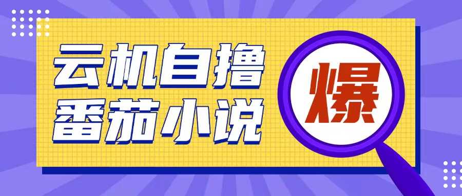 首发云手机自撸小说玩法，10块钱成本可撸200+收益操作简单【揭秘】-富爸爸项目圈