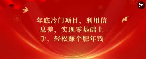 年底冷门项目，利用信息差，实现零基础上手，轻松赚个肥年钱【揭秘】-富爸爸项目圈