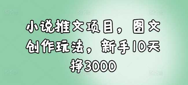 小说推文项目，图文创作玩法，新手10天挣3000-富爸爸项目圈