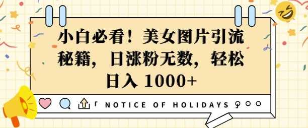 小白必看，美女图片引流秘籍，日涨粉无数，轻松日入几张【揭秘】-富爸爸项目圈