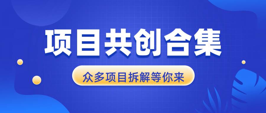 （13778期）项目共创合集，从0-1全过程拆解，让你迅速找到适合自已的项目-富爸爸项目圈