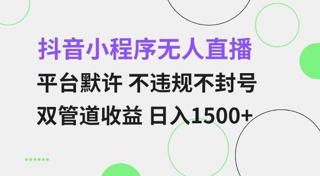 抖音小程序无人直播 平台默许 不违规不封号 双管道收益 日入多张 小白也能轻松操作【仅揭秘】-富爸爸项目圈