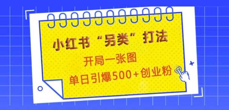 小红书“另类”打法，开局一张图，单日引爆500+精准创业粉【揭秘】-富爸爸项目圈