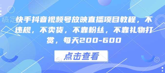 快手抖音视频号放映直播项目教程，不违规，不卖货，不靠粉丝，不靠礼物打赏，每天200-600-富爸爸项目圈