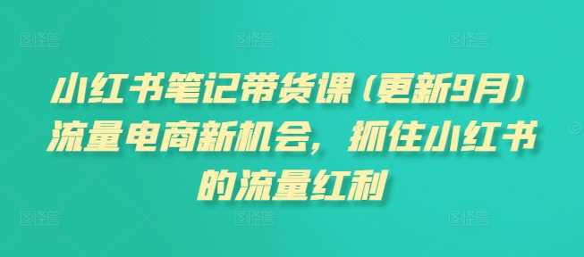 小红书笔记带货课(更新12月)流量电商新机会，抓住小红书的流量红利-富爸爸项目圈