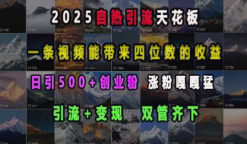 2025自热引流天花板，一条视频能带来四位数的收益，引流+变现双管齐下，日引500+创业粉，涨粉嘎嘎猛-富爸爸项目圈