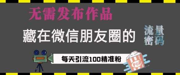藏在微信朋友圈的流量密码，无需发布作品，单日引流100+精准创业粉【揭秘】-富爸爸项目圈