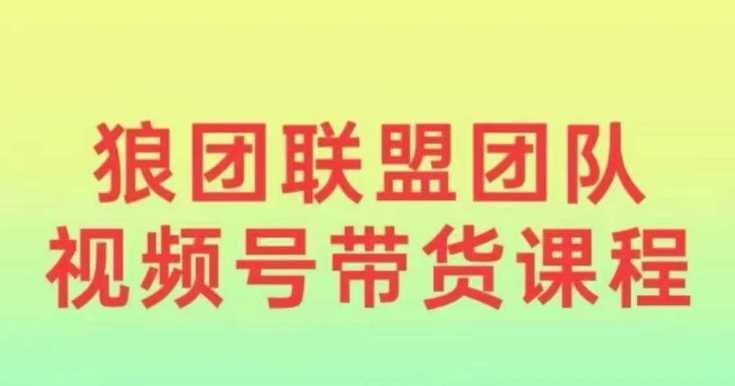狼团联盟2024视频号带货，0基础小白快速入局视频号-富爸爸项目圈