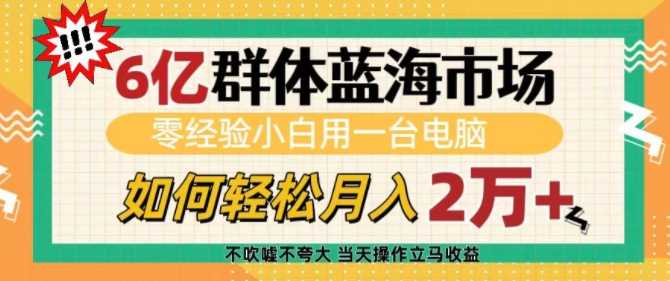 6亿群体蓝海市场，零经验小白用一台电脑，如何轻松月入过w【揭秘】-富爸爸项目圈