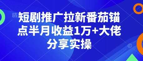 短剧推广拉新番茄锚点半月收益1万+大佬分享实操-富爸爸项目圈