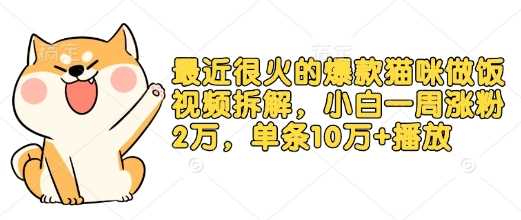 最近很火的爆款猫咪做饭视频拆解，小白一周涨粉2万，单条10万+播放(附保姆级教程)-富爸爸项目圈