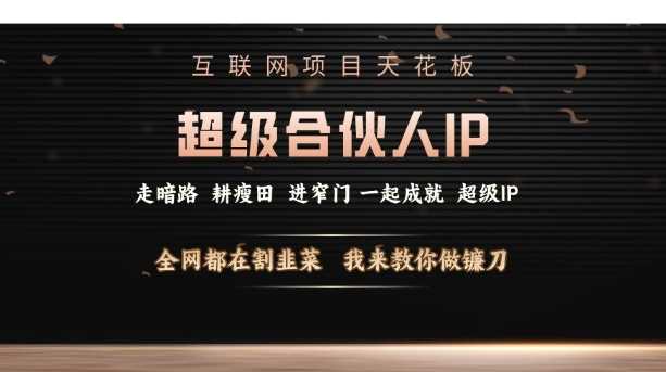 互联网项目天花板，超级合伙人IP，全网都在割韭菜，我来教你做镰刀【仅揭秘】-富爸爸项目圈