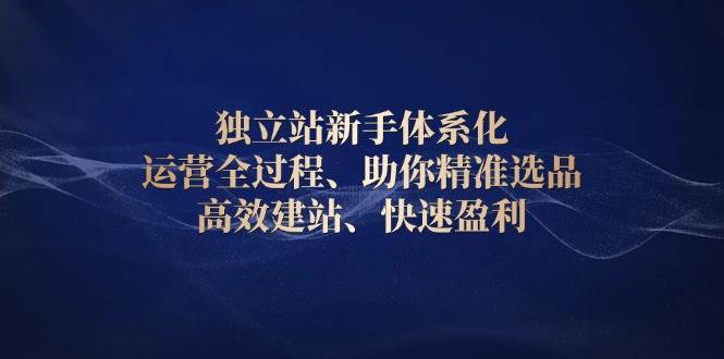 （13914期）独立站新手体系化 运营全过程，助你精准选品、高效建站、快速盈利-富爸爸项目圈