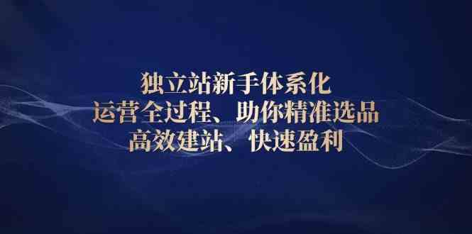 独立站新手体系化 运营全过程，助你精准选品、高效建站、快速盈利-富爸爸项目圈