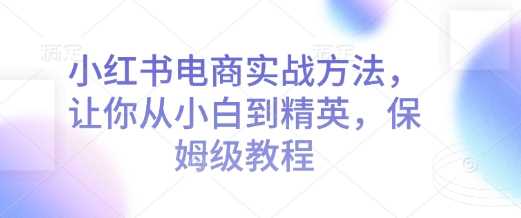 小红书电商实战方法，让你从小白到精英，保姆级教程-富爸爸项目圈