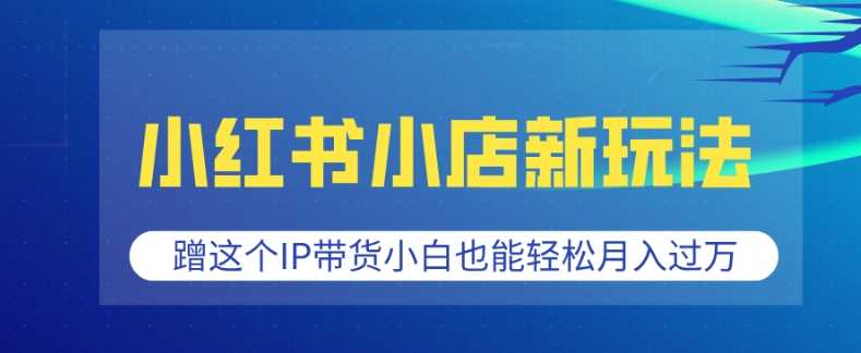 小红书小店新玩法，蹭这个IP带货，小白也能轻松月入过W【揭秘】-富爸爸项目圈