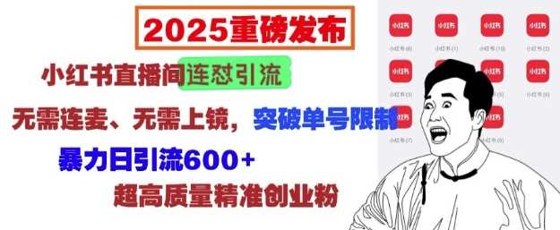2025重磅发布：小红书直播间连怼引流，无需连麦、无需上镜，突破单号限制，暴力日引流600+-富爸爸项目圈