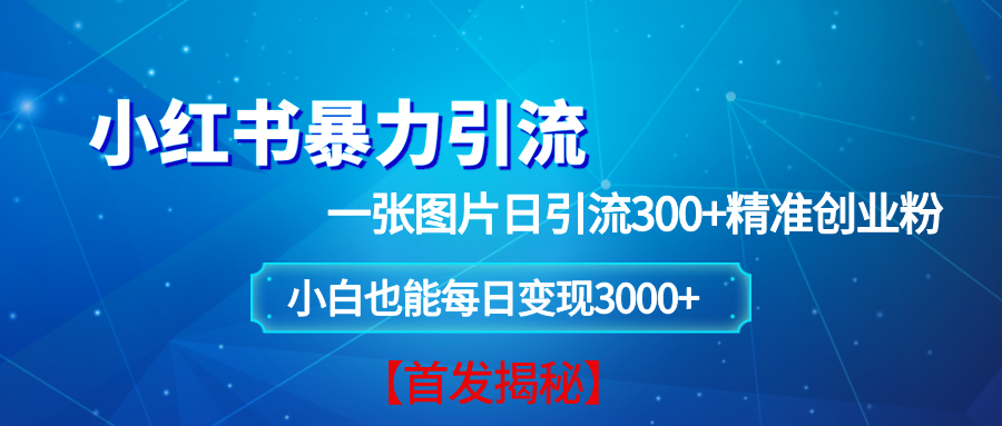 （13935期）小红书暴力引流法，一张图片日引 300+精准创业粉，每日稳定变现 3000+【揭秘】-富爸爸项目圈