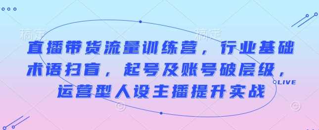 直播带货流量训练营，行业基础术语扫盲，起号及账号破层级，运营型人设主播提升实战-富爸爸项目圈