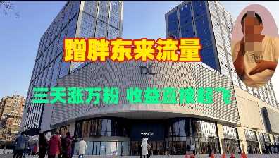 蹭胖东来流量，三天涨万粉，收益直接起飞-富爸爸项目圈