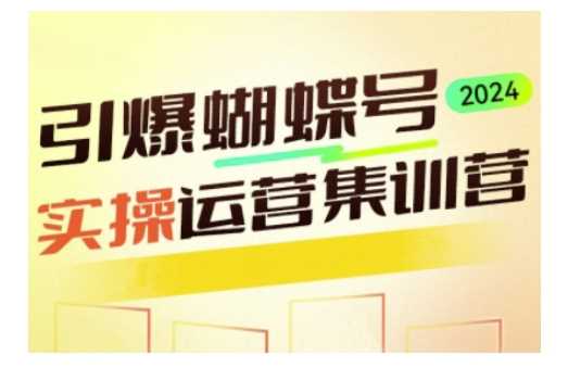 引爆蝴蝶号实操运营，助力你深度掌握蝴蝶号运营，实现高效实操，开启流量变现之路-富爸爸项目圈