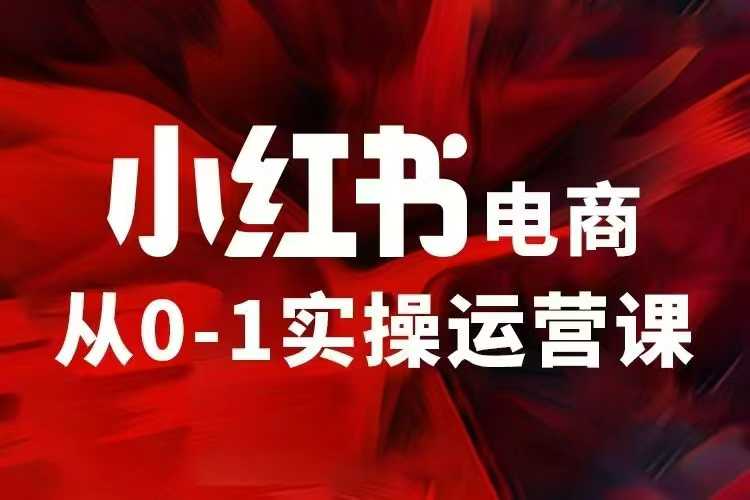 小红书电商运营，97节小红书vip内部课，带你实现小红书赚钱-富爸爸项目圈