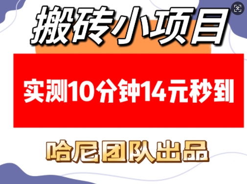 搬砖小项目，实测10分钟14元秒到，每天稳定几张(赠送必看稳定)-富爸爸项目圈