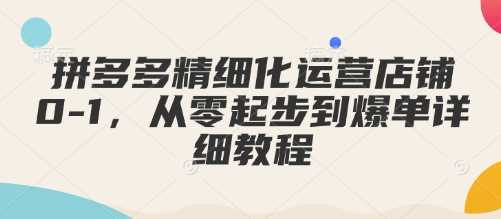 拼多多精细化运营店铺0-1，从零起步到爆单详细教程-富爸爸项目圈