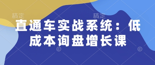 直通车实战系统：低成本询盘增长课，让个人通过技能实现升职加薪，让企业低成本获客，订单源源不断-富爸爸项目圈