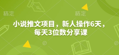 小说推文项目，新人操作6天，每天3位数分享课-富爸爸项目圈