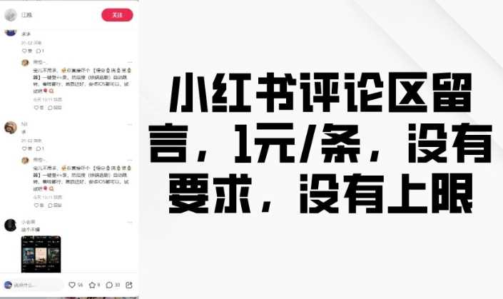 小红书评论区留言，1元条，没有要求，没有上限-富爸爸项目圈