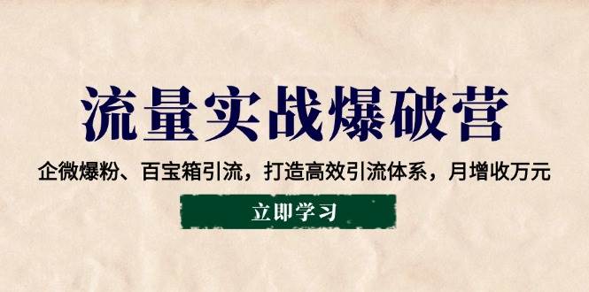 （14039期）流量实战爆破营：企微爆粉、百宝箱引流，打造高效引流体系，月增收万元-富爸爸项目圈