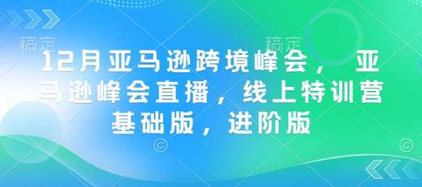 12月亚马逊跨境峰会， 亚马逊峰会直播，线上特训营基础版，进阶版-富爸爸项目圈