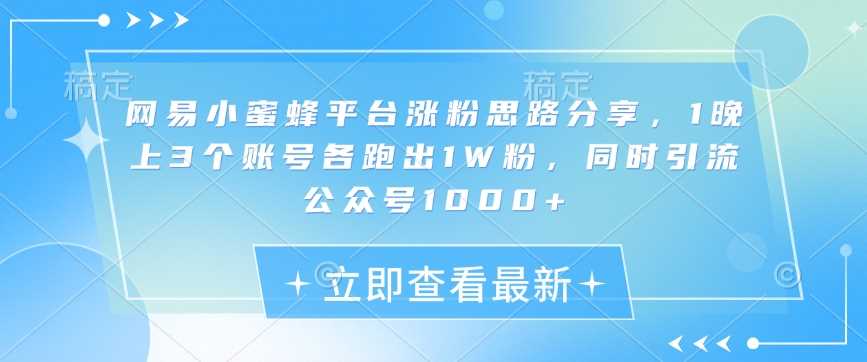 网易小蜜蜂平台涨粉思路分享，1晚上3个账号各跑出1W粉，同时引流公众号1000+-富爸爸项目圈