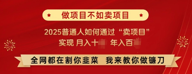 必看，做项目不如卖项目，2025普通人如何通过“卖项目”实现月入十个，年入百个-富爸爸项目圈