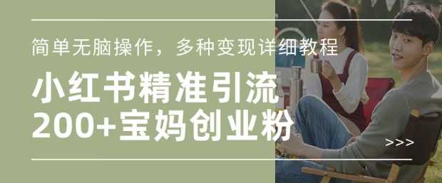 小红书混剪日引200+宝妈创业粉，简单无脑操作，多种变现详细教程-富爸爸项目圈