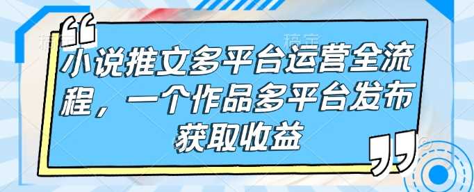 小说推文多平台运营全流程，一个作品多平台发布获取收益-富爸爸项目圈