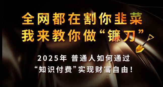 全网都在割你韭菜，我来教你做镰刀，2025年普通人如何通过 知识付费 实现财F自由【揭秘】-富爸爸项目圈