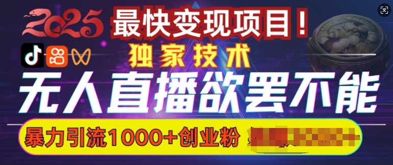 欲罢不能的无人直播引流，超暴力日引流1000+高质量精准创业粉-富爸爸项目圈