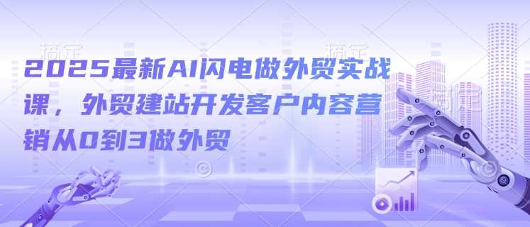 2025最新AI闪电做外贸实战课，外贸建站开发客户内容营销从0到3做外贸-富爸爸项目圈