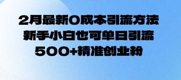 2月最新0成本引流方法，新手小白也可单日引流500+精准创业粉-富爸爸项目圈