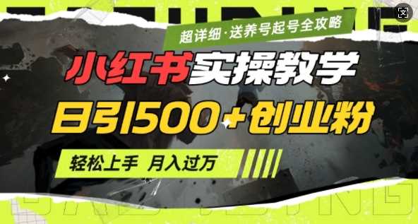 2月小红书最新日引500+创业粉实操教学【超详细】小白轻松上手，月入1W+，附小红书养号起号SOP-富爸爸项目圈