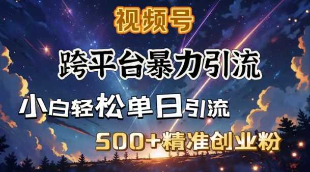 跨平台暴力引流，私域完美闭环，日引500+精准创业粉-富爸爸项目圈