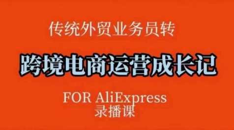 跨境电商速卖通运营课，​运营方法论+后台实操，逻辑清晰-富爸爸项目圈
