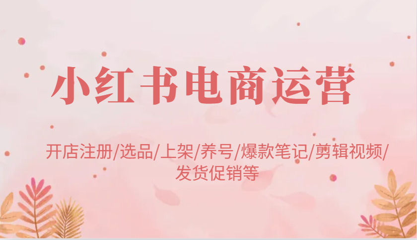 小红书电商运营：开店注册/选品/上架/养号/爆款笔记/剪辑视频/发货促销等-富爸爸项目圈